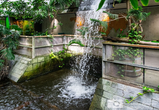 Biosphäre