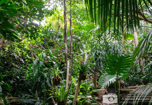Biosphäre