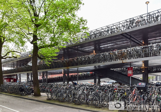 Amsterdam City