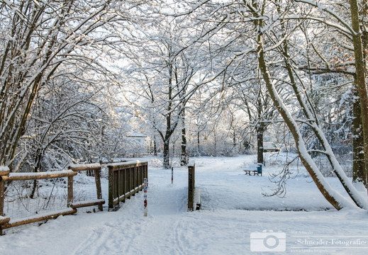 Winter in Berlin- Rudow