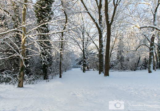 Winter in Berlin- Rudow