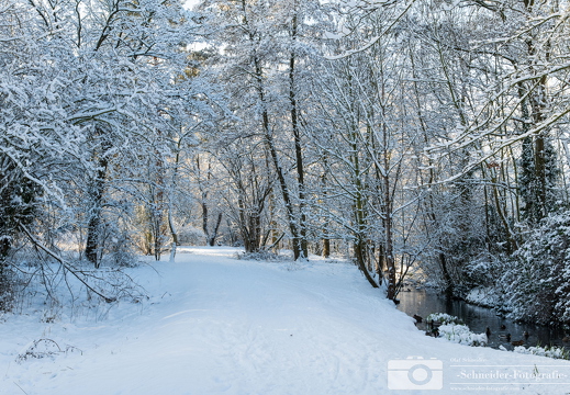 Winter in Berlin- Rudow