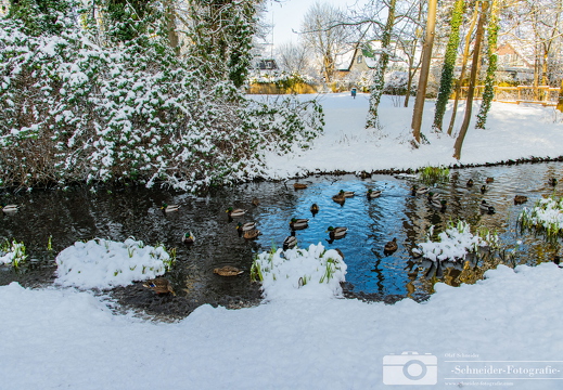 Winter in Berlin- Rudow