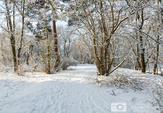 Winter in Berlin- Rudow