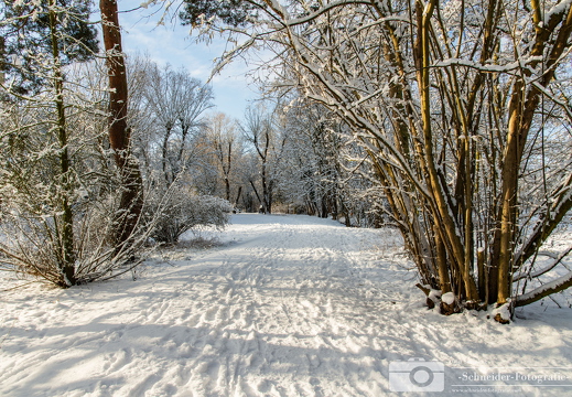 Winter in Berlin- Rudow
