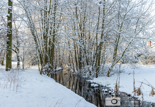 Winter in Berlin- Rudow