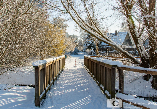 Winter in Berlin- Rudow