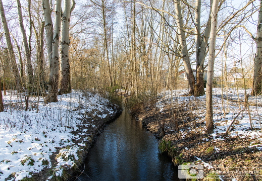 Winter in Berlin- Rudow