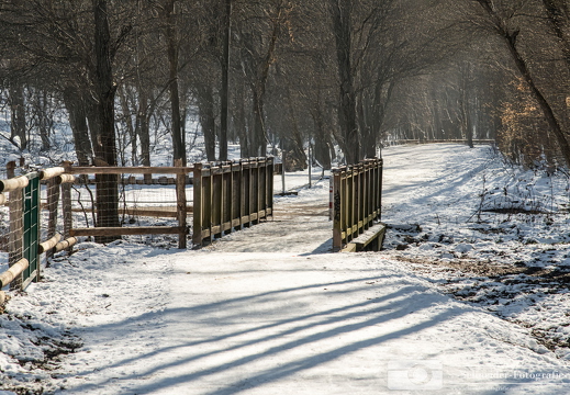 Winter in Berlin- Rudow
