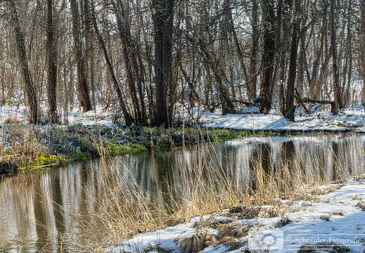 Winter in Berlin- Rudow